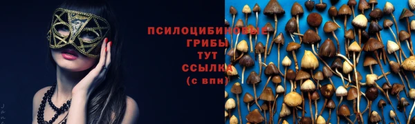 гидра Богородицк