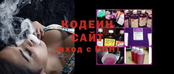 гидра Богородицк