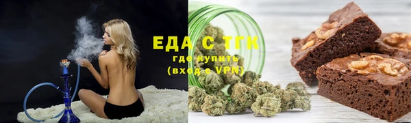 гидра Богородицк