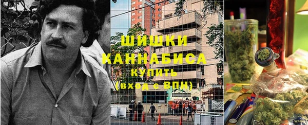 гидра Богородицк