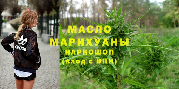гидра Богородск