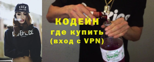 гидра Богородицк