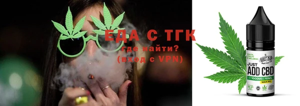 МДПВ Бородино