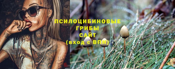 тгк Белокуриха