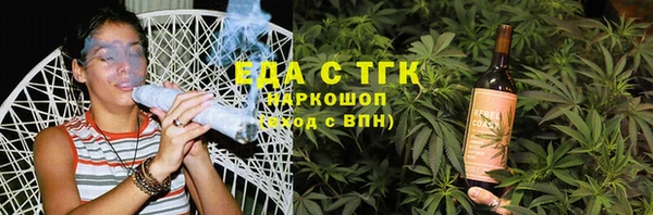 гидра Богородицк