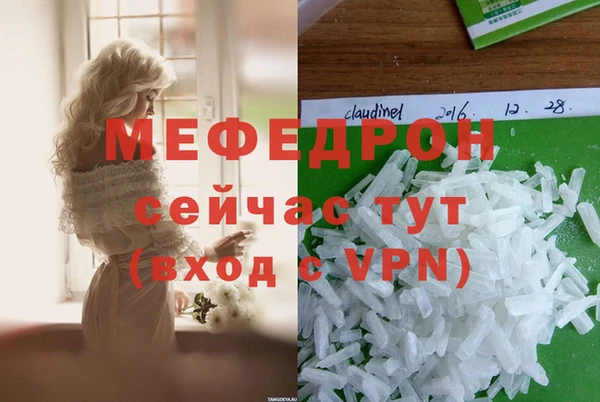 гидра Богородск