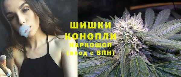 гидра Богородск