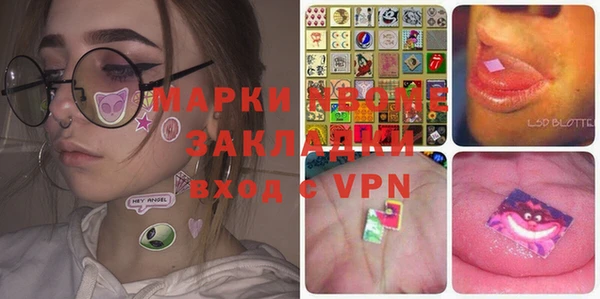 гидра Богородицк