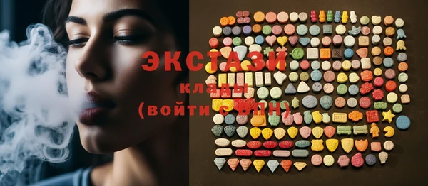 гидра Богородицк