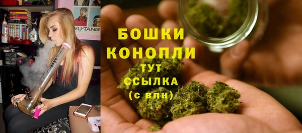 гидра Богородск