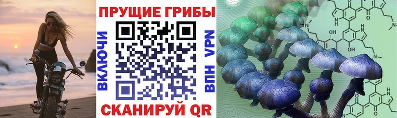 Галлюциногенные грибы прущие грибы  наркошоп  Бугуруслан 
